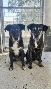 Foto 15.12.25, 23 26 08