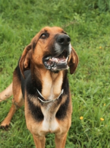 Foto 19.01.26, 18 55 18 (1)