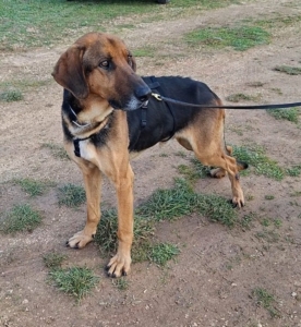 Foto 19.01.26, 18 55 18