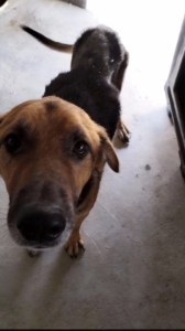 Foto 20.01.26, 16 58 59 (1)