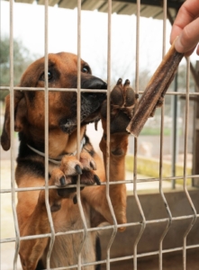 Foto 20.01.26, 16 58 59 (2)