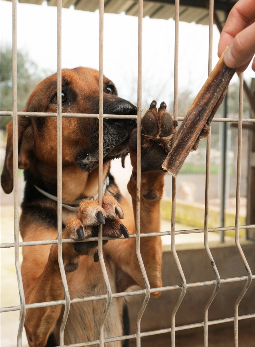 Foto 20.01.26, 16 58 59 (2)