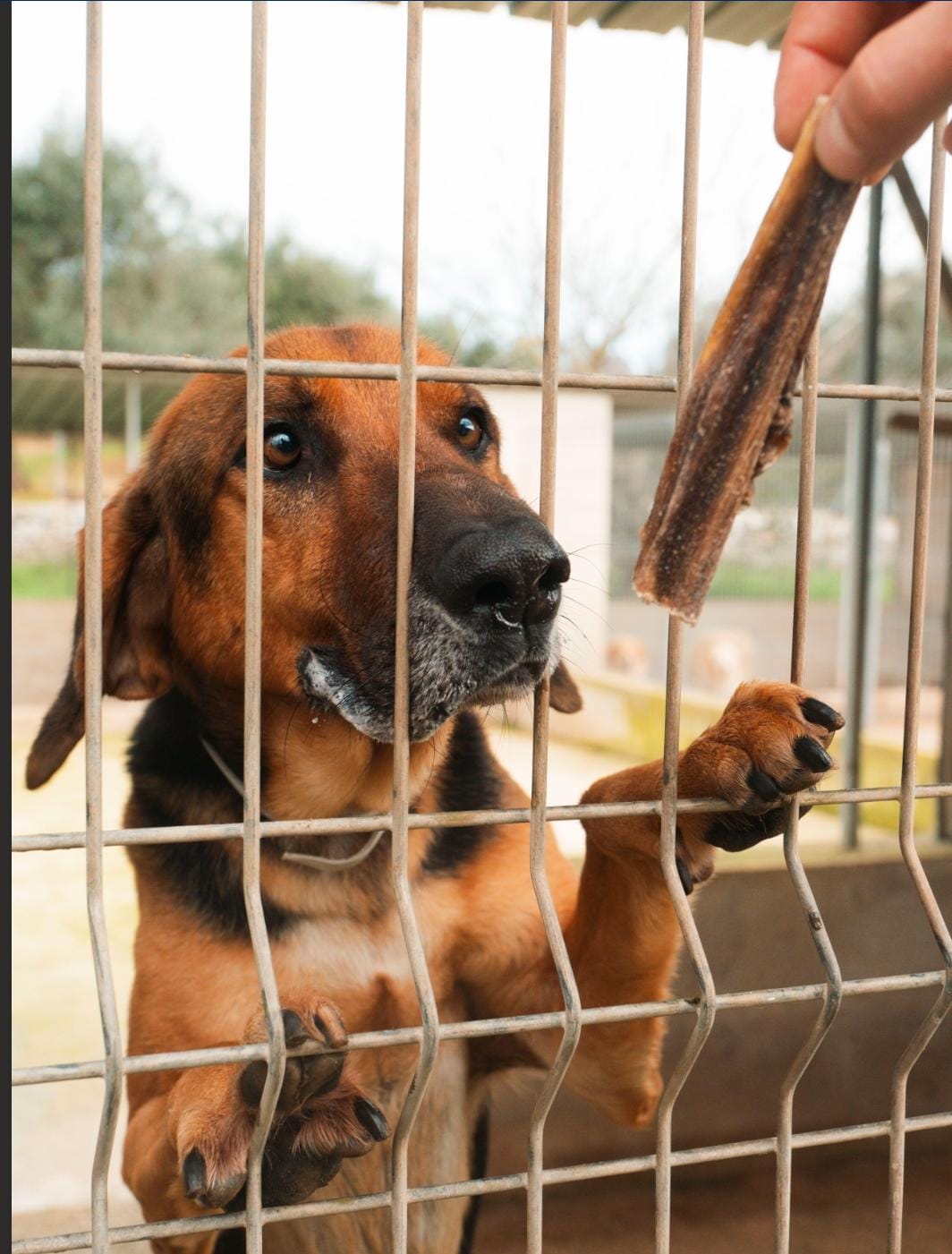 Foto 20.01.26, 16 58 59 (3)