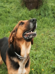 Foto 20.01.26, 16 58 59 (4)