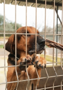 Foto 20.01.26, 16 58 59