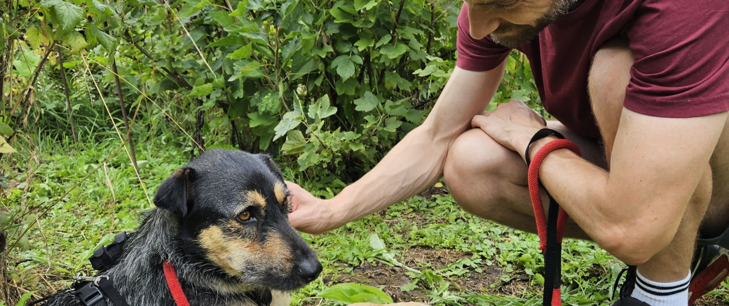 Niemandshund Pino kommt im neuen Zuhause an